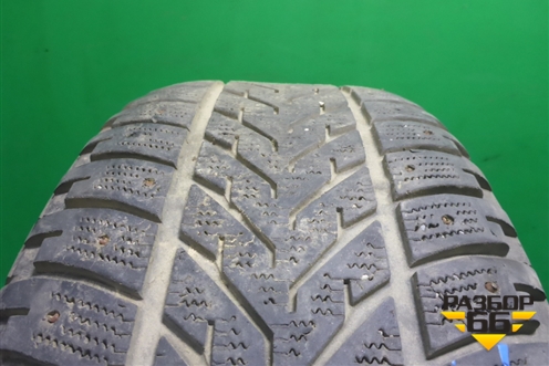 Шина Pirelli Perfomace 100S 235/60 R16 (Зима Шипы)