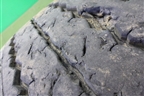 Шина Kumho KRA11 152/148L R22,5 (Лето)