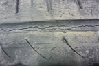 Шины (комплект) Pirelli Cinturato P1 91V 205/55 R16 (Лето)