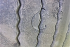 Шина  315/70 R22,5 () (CordiantProfessional) (CORDIANTPROFESSIONAL)