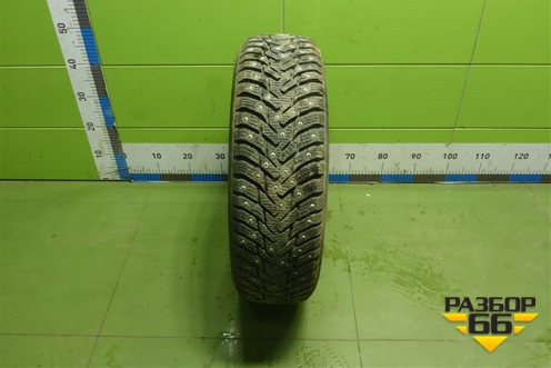 Шина  175/70 R14 (Зима Шипы) (NokianNordman8) (NOKIANNORDMAN8)