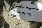Тяга рулевая продольная (81466116134) для MAN  TGS с 2007г