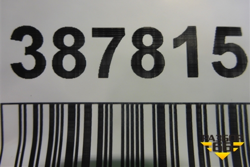 Петля двери задней левой верхняя для Citroen C5 с 2005-2008г (С5)