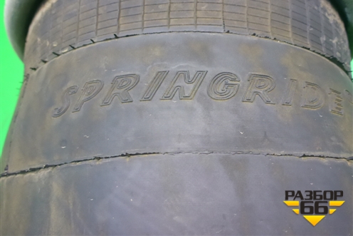Воздушная подушка (задняя Contitech SPRINGRIDE) (566203502) для MAN  TGS с 2007г