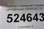 Решетка в передний бампер центральная (565853677E) для Skoda Kodiaq с 2017г (Кодиак)