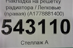 Накладка на решетку радиатора (правая) (A1778881400) для Mercedes Benz A200/220 W177 с 2018г (А)