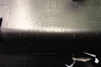 Накладка двери задней левой (6600125116) для Geely Coolray с 2019-2025г
