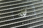 Радиатор охлаждения (6600001982) для Geely Coolray с 2019-2025г