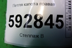 Петля капота правая для Peugeot Partner с 2002-2010г (Партнер)