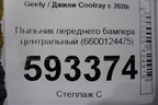 Пыльник переднего бампера центральный (6600124475) для Geely Coolray с 2019-2025г