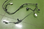 Проводка двери багажника (24051HL00A) для Nissan Qashqai (J11E) с 2013г (Кашкай)