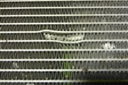 Радиатор кондиционера (P6600118300) для Geely Coolray с 2019-2025г