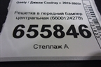 Решетка в передний бампер центральная (6600124278) для Geely Coolray с 2019-2025г