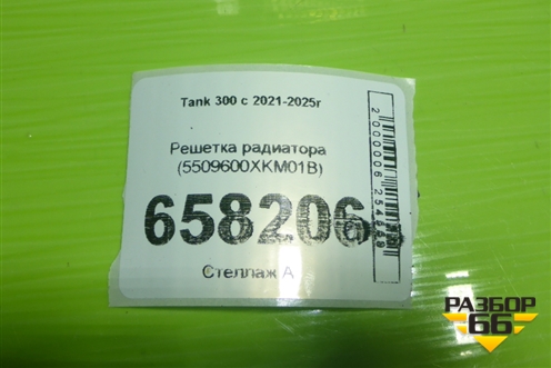 Решетка радиатора (5509600XKM01B) для Tank 300 с 2021-2025г