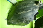 Локер передний левый (13187356) для Opel Corsa D с 2006-2014г (Корса Д)