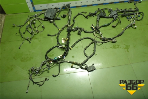 Проводка подкапотная (1.8л R18A2 РКПП) (32110RSAG203) для Honda Civic 5D с 2005-2011г (Цивик)