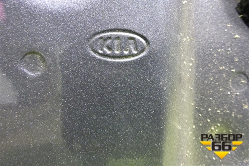 Дверь передняя правая (76004H0000) для Kia Rio с 2017г (Рио 4)