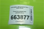 Решетка радиатора (6N5853653) для Volkswagen Polo с 2020г (Поло)