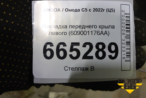Накладка переднего крыла левого (609001176AA) для OMODA C5 с 2022г (Ц5)