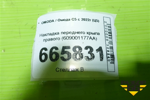 Накладка переднего крыла правого (609001177AA) для OMODA C5 с 2022г (Ц5)