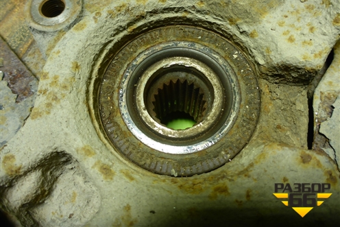 Кулак поворотный передний правый для Renault Logan с 2004-2015г (Логан)