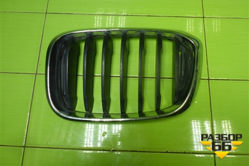 Решетка радиатора левая (51137464919) для BMW X3 G01 с 2017г (Х3 Г01)