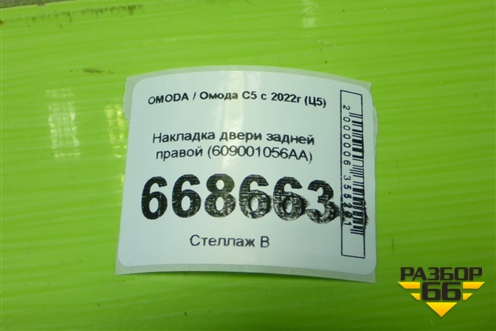 Накладка двери задней правой (609001056AA) для OMODA C5 с 2022г (Ц5)