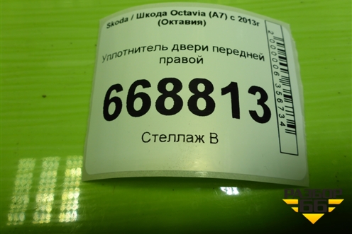 Уплотнитель двери передней правой (5E0867366H) для Skoda Octavia (A7) с 2013г (Октавия)