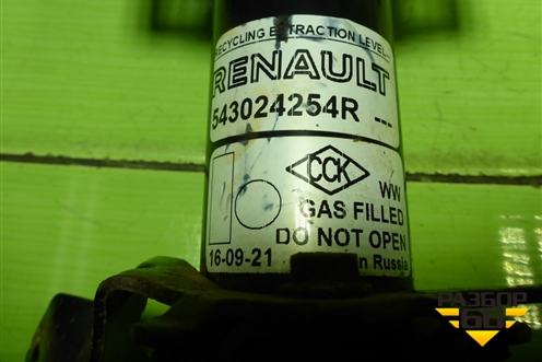 Амортизатор передний (543024254R) для Dacia Sandero с 2020-2022г (Сандеро)