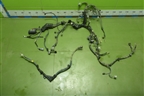 Проводка на двигатель (2.0л 3ZR) (8212142D00) для Toyota Rav-4 с 2012-2019г (Рав 4)