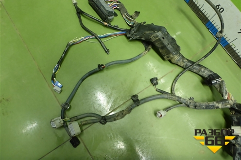 Проводка на двигатель (2.0л 3ZR) (8212142D00) для Toyota Rav-4 с 2012-2019г (Рав 4)