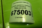 Накладка переднего бампера левая  (549018416133) для Камаз  54901 (К5)
