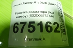 Решетка радиатора (под камеру) (602003767AA) для Jaecoo J7 с 2023г (Джей7)
