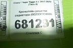 Кронштейн решетки радиатора (602006904AA) для Chery Tiggo 4 с 2017-2025г (Тиго 4)
