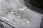 Бампер задний (после 2009г) (GS1D50221) для Mazda Mazda 6 (GH) с 2007-2012г