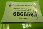 Решетка радиатора (под камеру) (20240006541) для BMW X5 G05 с 2018г (Х5 Г05)